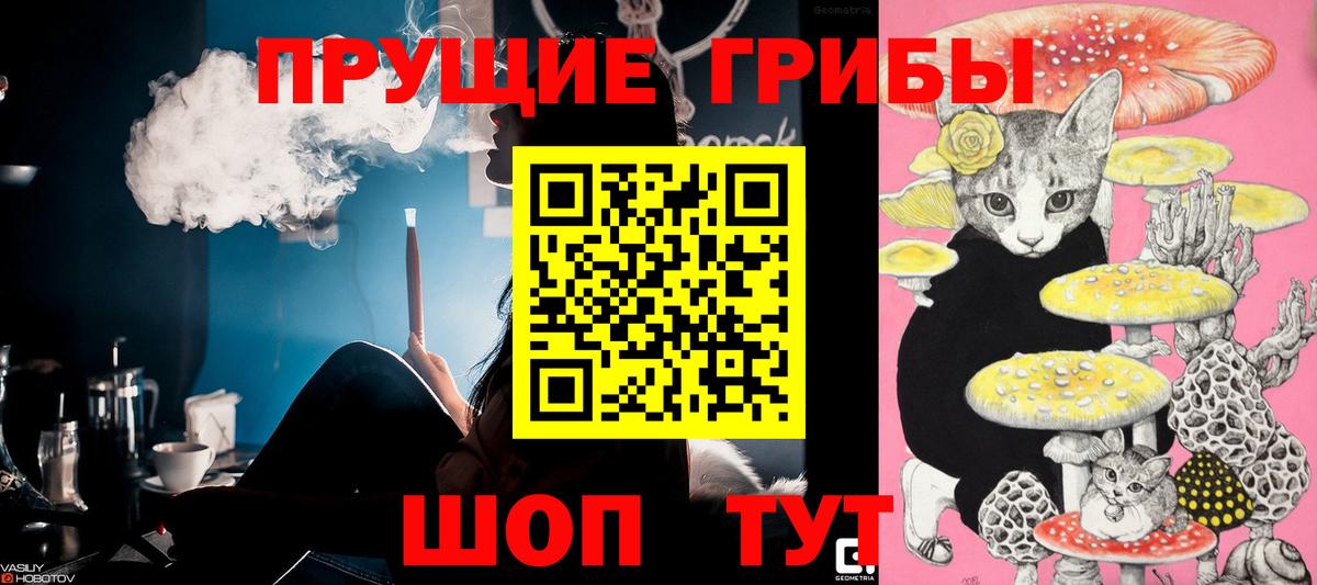 Галлюциногенные грибы ЛСД Кострома