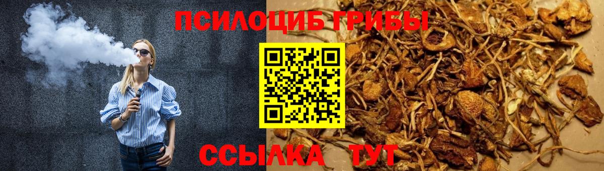 Меф мяу мяу Кострома